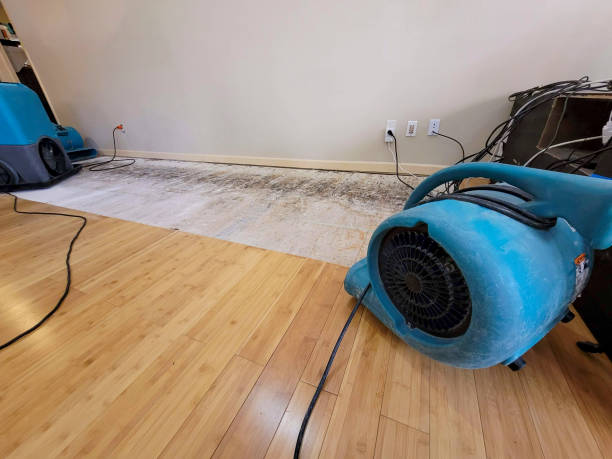 Professional Water Damage Repair technician working in Ogdensburg, NY